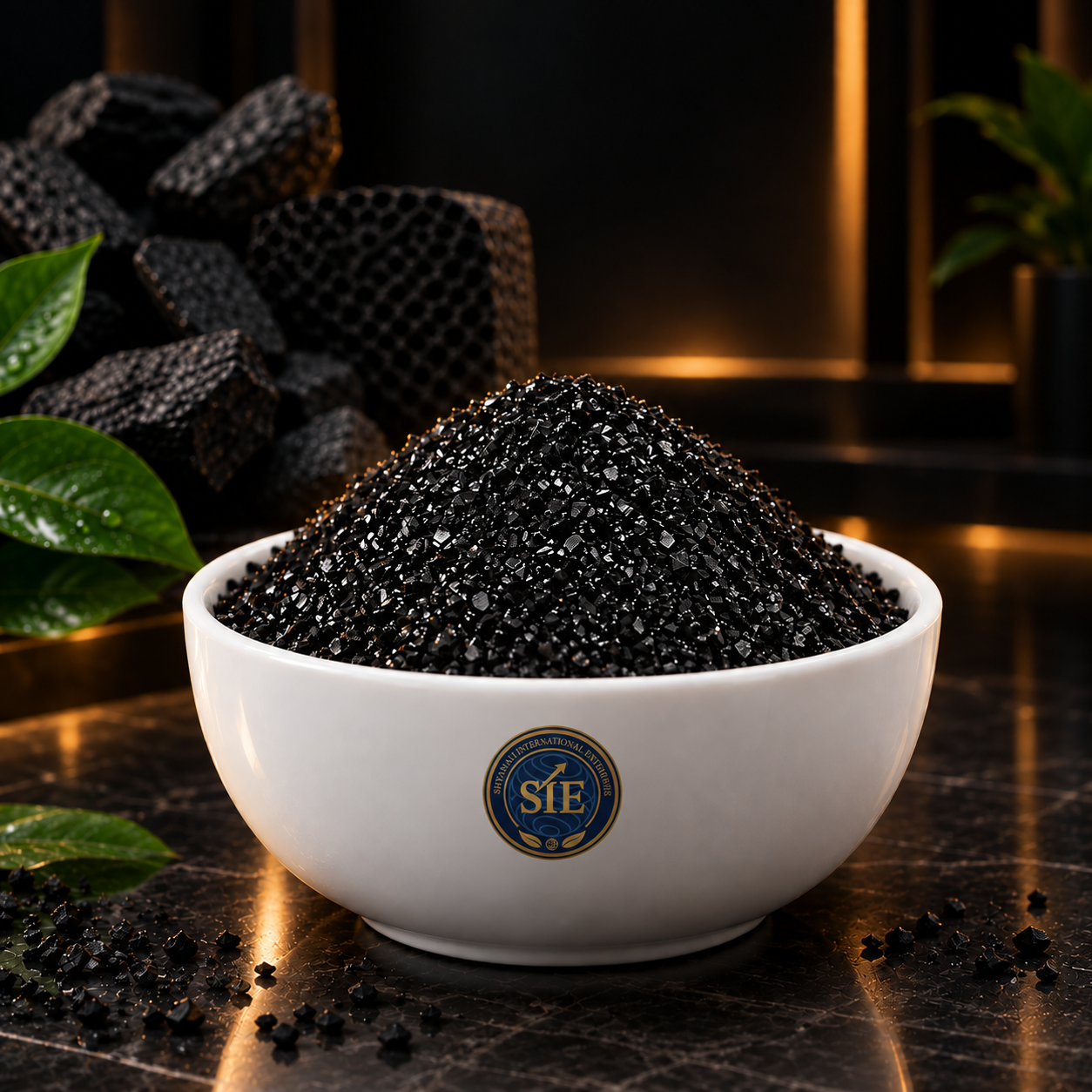 Granular Activated Carbon